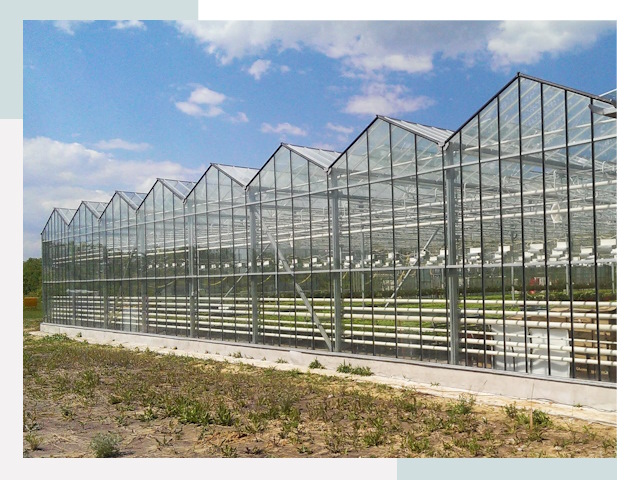 Строительство теплиц в Нижний Тагил от 625 руб. за м²